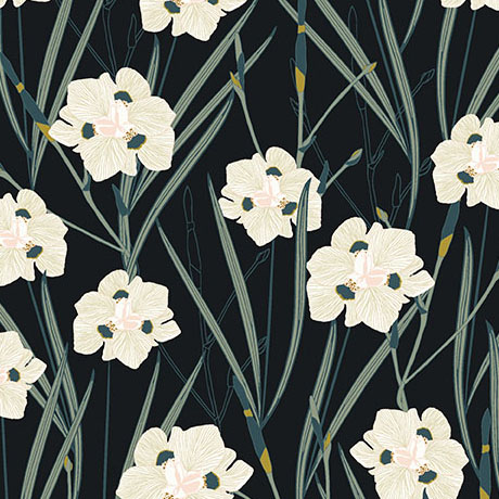 MEADOW DRIFT             